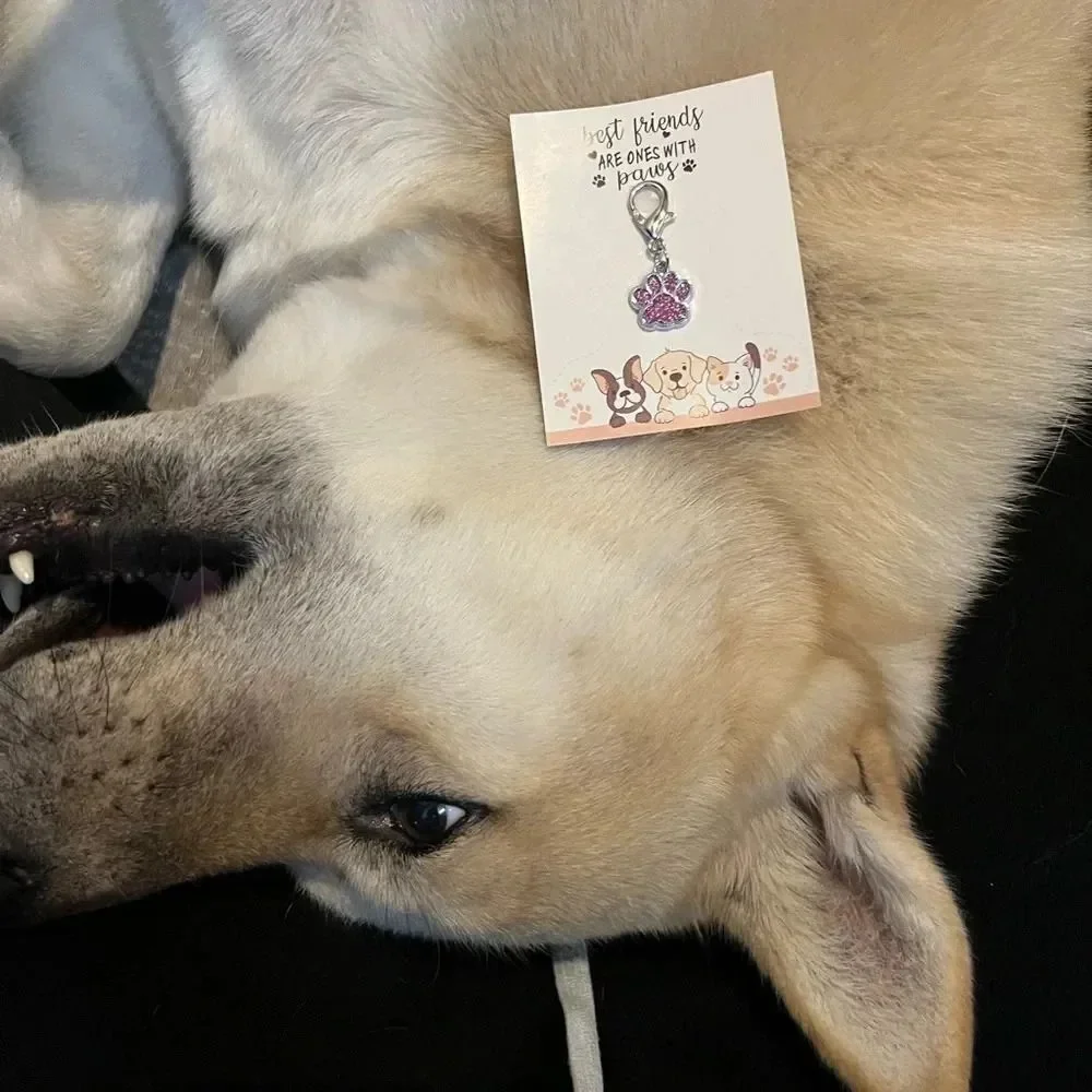 Cute Pink Dog or Cat Paw Charm